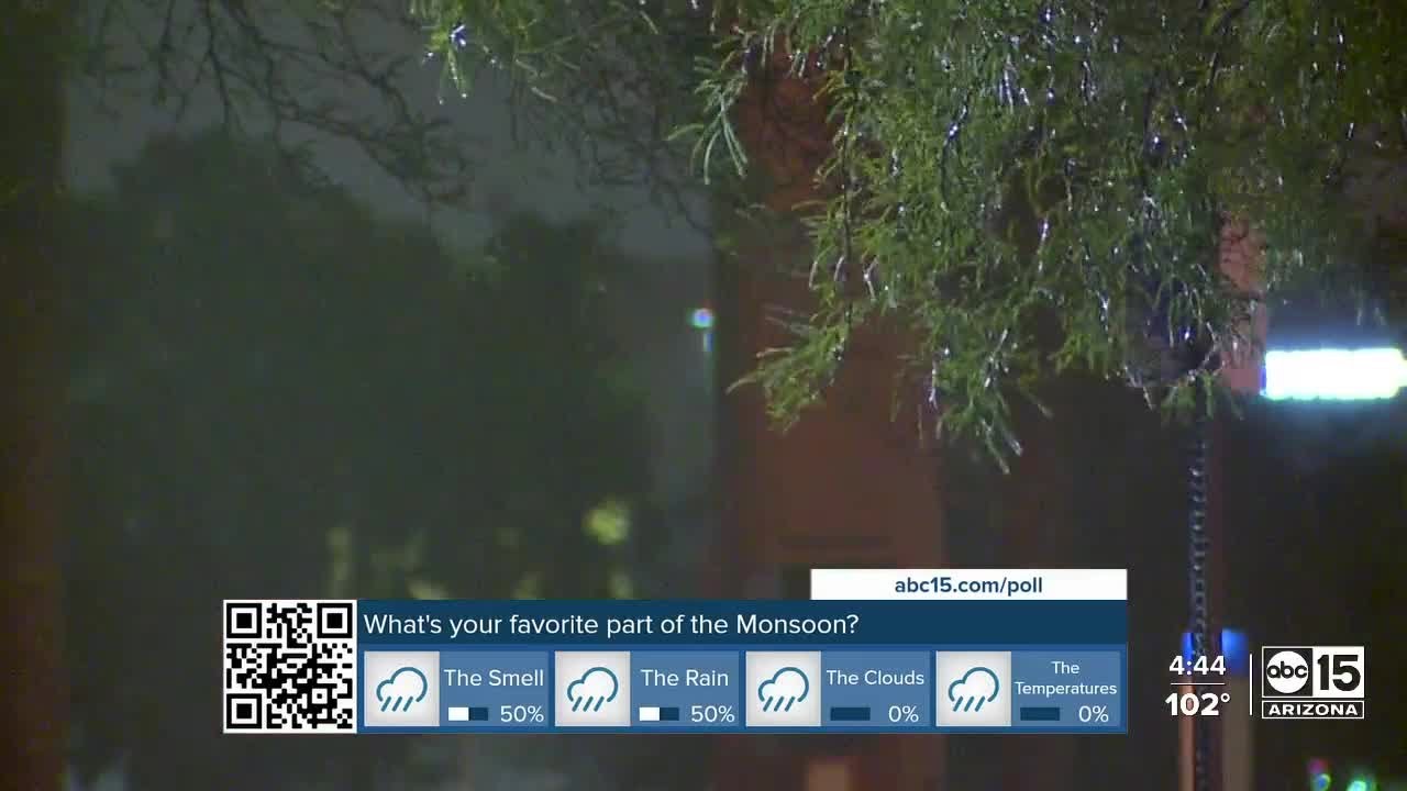 Where does the distinct scent that comes with monsoon storms come from?