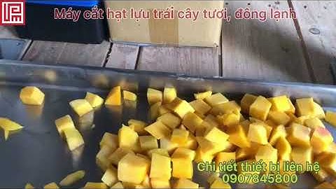 MÁY CẮT HẠT LỰU TRÁI CÂY TƯƠI ĐÔNG LẠNH