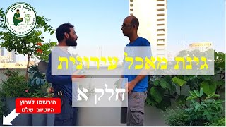 גינת מאכל מזינה בעיר - סרטון 1 מתוך 3
