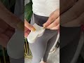 Video Image