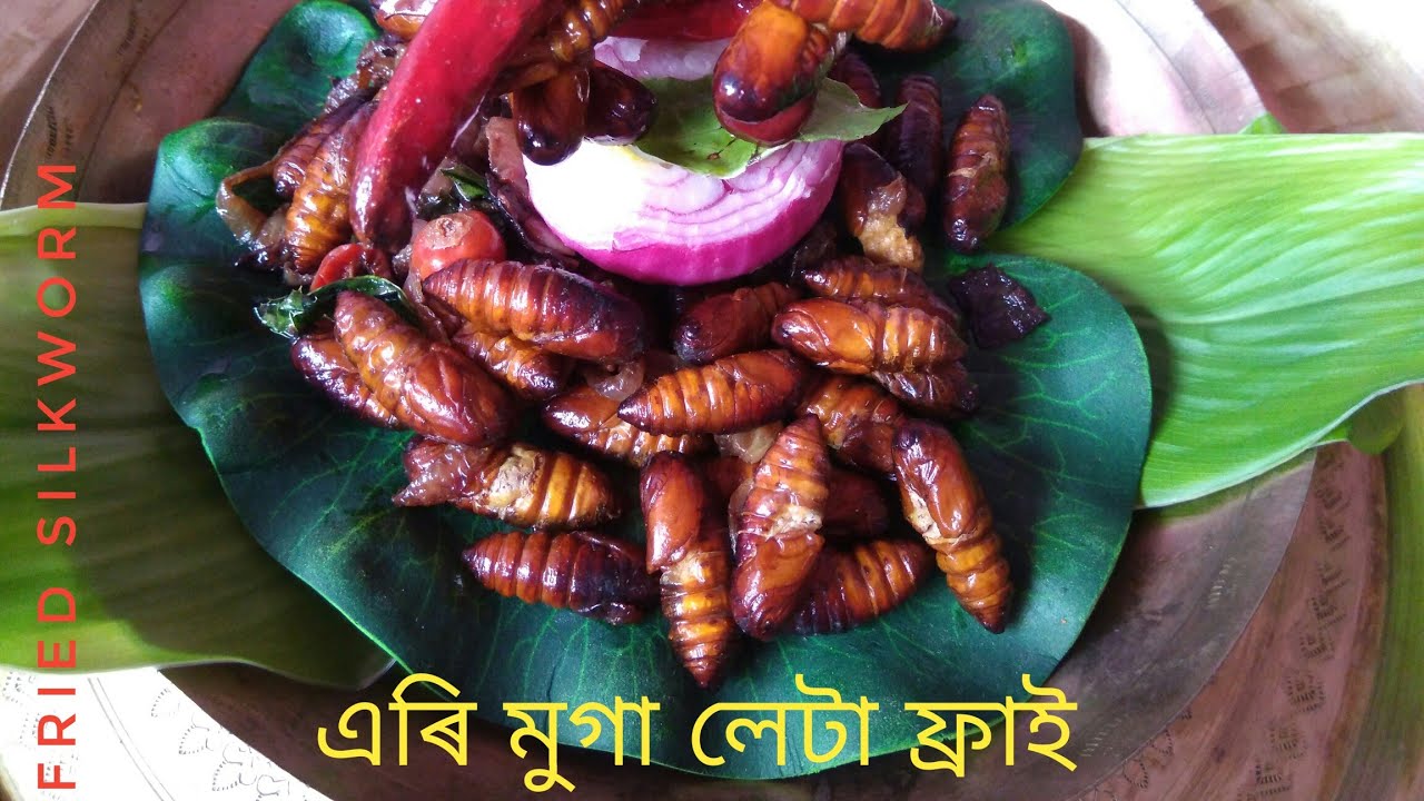 FRIED SILKWORM |এৰী মুগা লেটা ফ্ৰাই| অসমৰ গৌৰৱ,স্বাস্হ্যৰ বাবে অতি ...