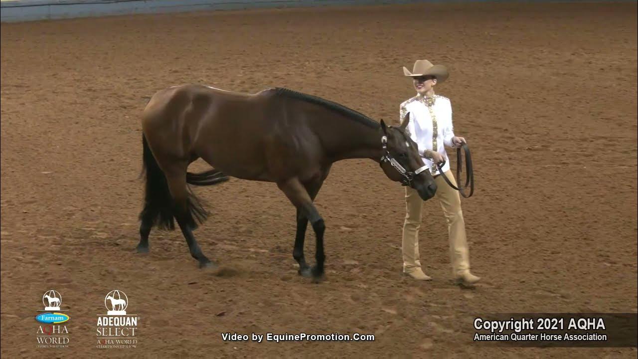 2021 AQHA Amateur Showmanship YouTube