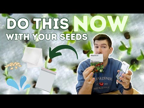 Seeds That Need To Be Started NOW!