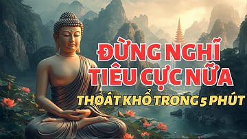 Xóa Sạch Suy Nghĩ Tiêu Cực Trong 5 Phút Với Lời Phật Dạy