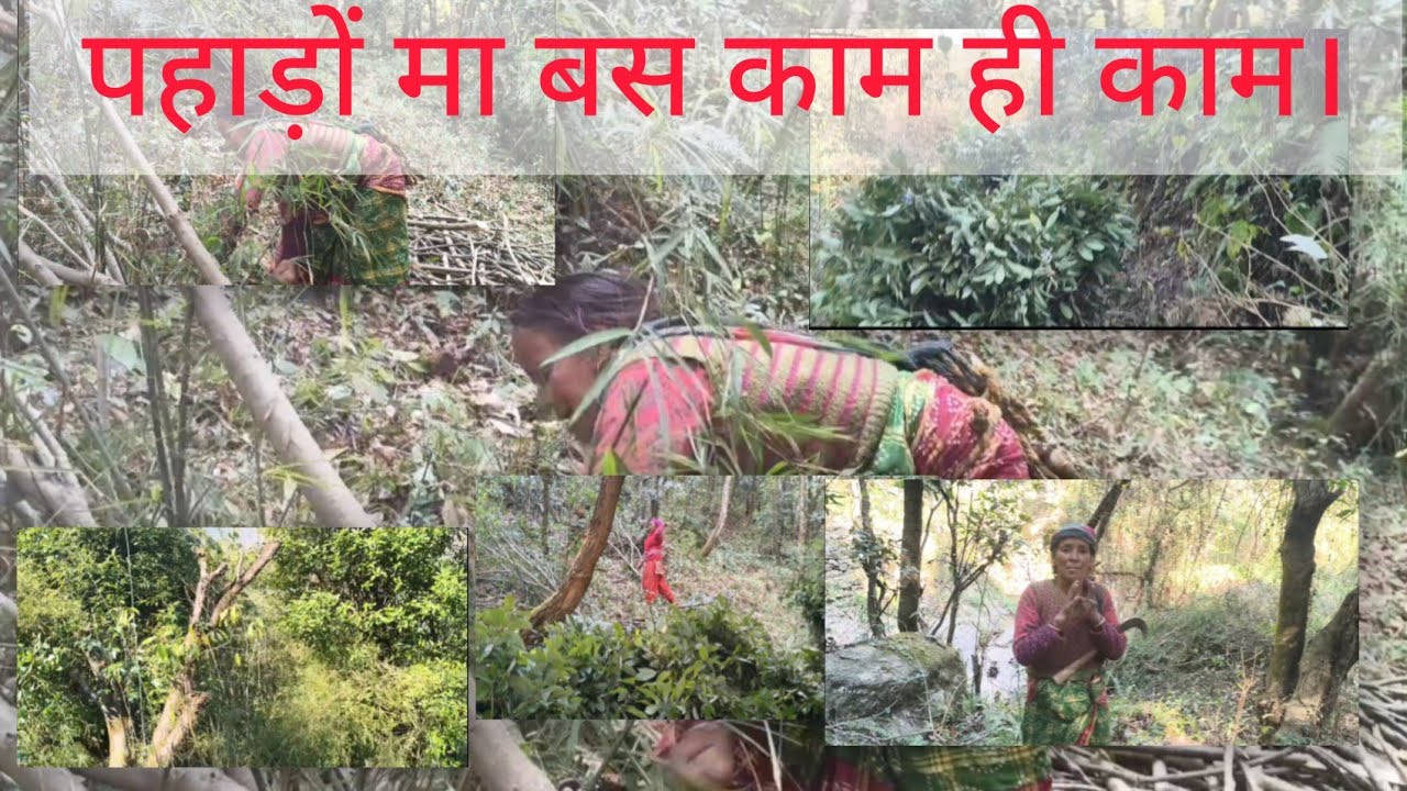 Bs kam hi kam 😓🥵