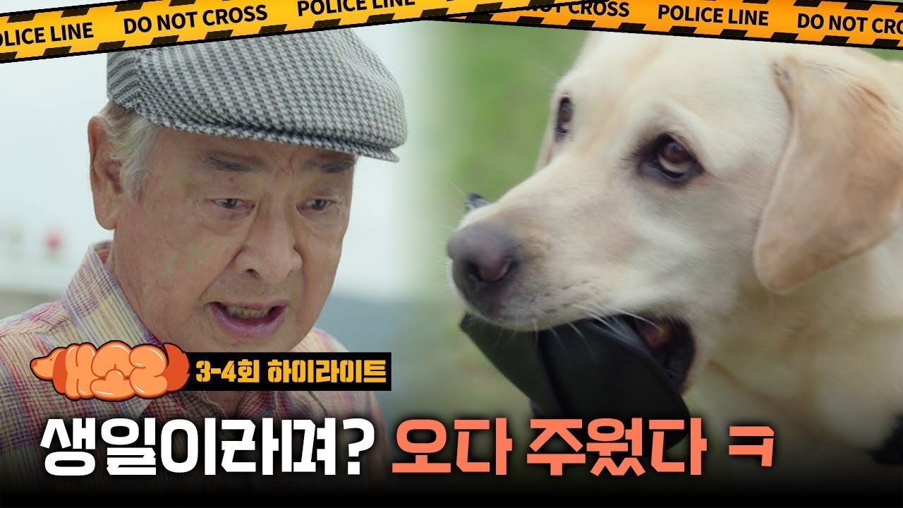 [추모영상] 이순재 선생님의 마지막 작품 귀여운 멍멍이와 따뜻한 우정을 나눈 드라마 개소리 3-4회 하이라이트 ㅣ KBS방송