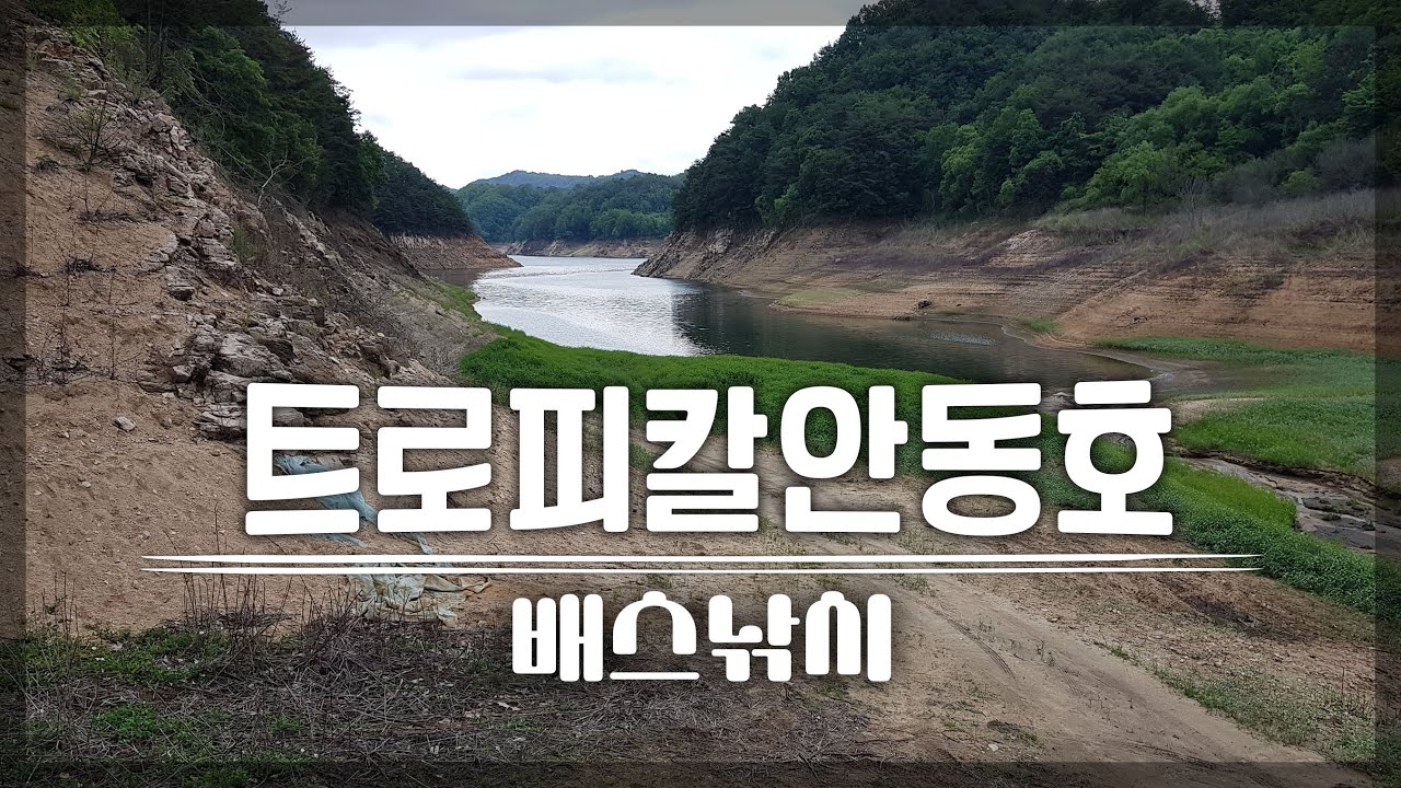 봄 산란철 안동호 배스낚시💚Bass fishing pesca バス釣り 런커
