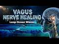 ASMR - TRIGGER Your Parasympathetic System for VAGUS NERVE HEALING (NO ADS)