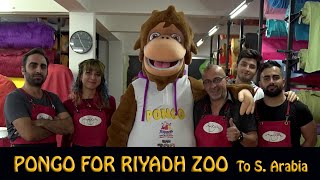Monkey Mascot Costume