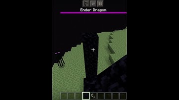 Will Nether Portal work in End? Minecraft (Pocket Edition) #3