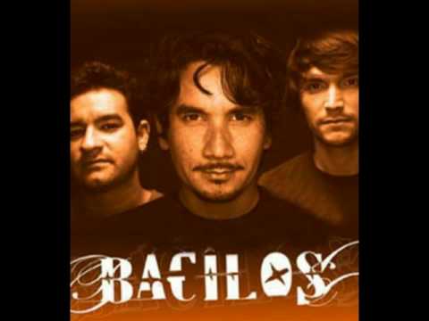 Resultado de imagen de bacilos