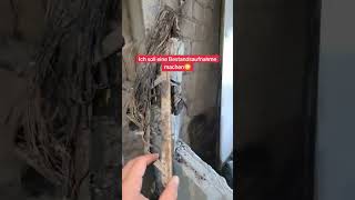 Was wurde da wohl verbaut 🤔🧑🏼‍🔧⚡#elektrodaniels #elektriker #strom #brand #elektrofachkraft