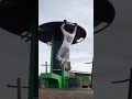 muscle ups routine #calisthenics