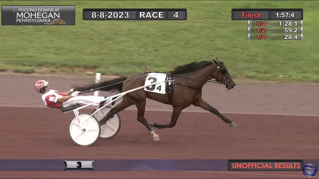 2 yo southwind banshee george napolitano jr svanstedtstable won in 1 