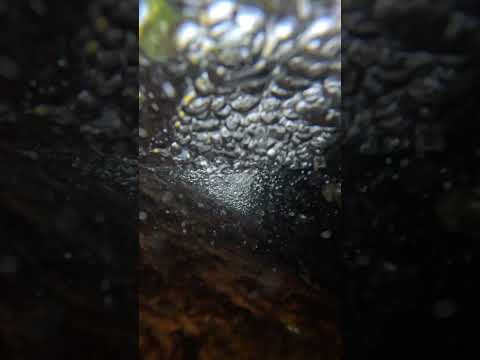 Calming Flow ASMR