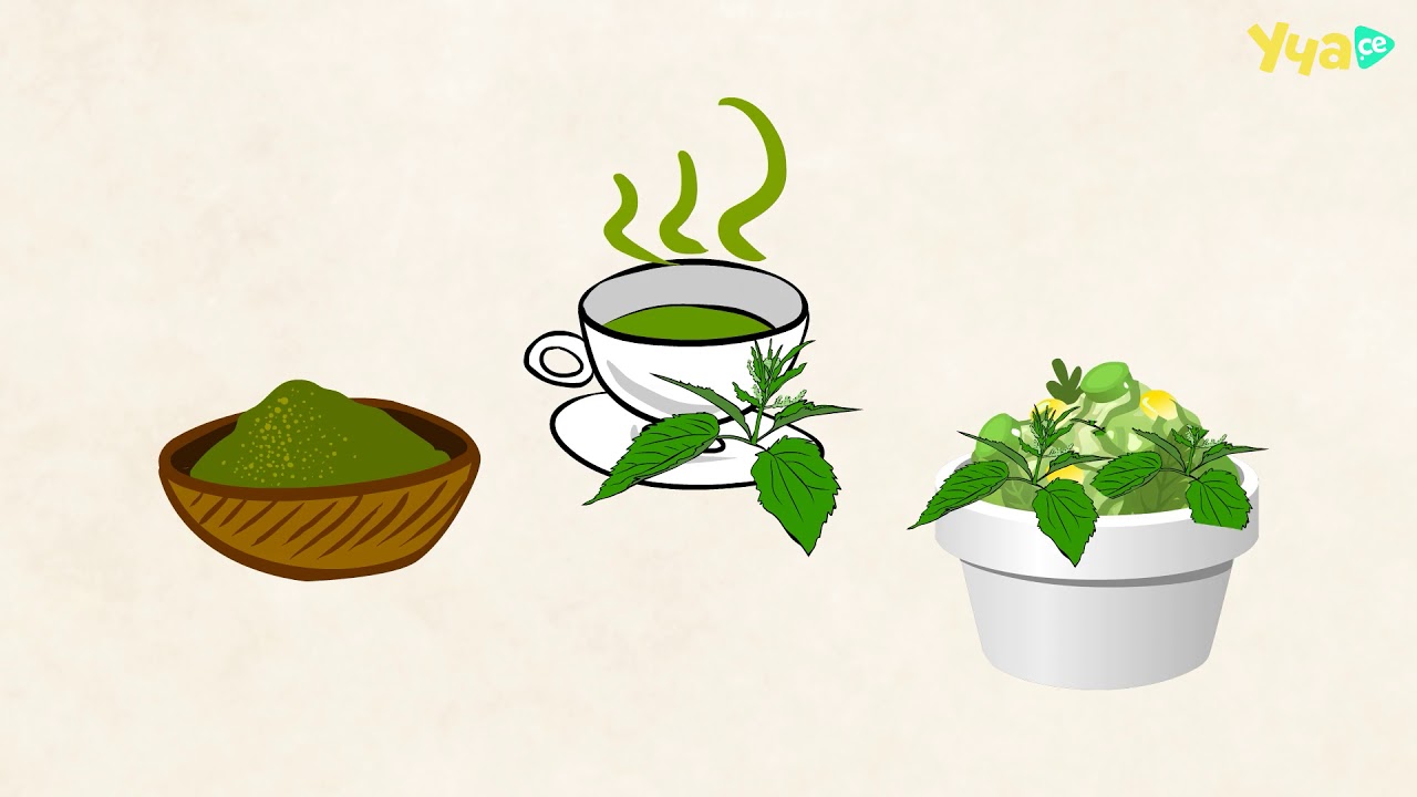 CAP4US: Коприва