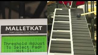 PAD THRESHOLDS: malletKAT Training Videos