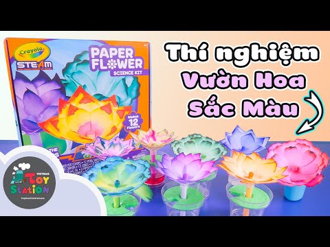Thí Nghiệm lai tạo hoa giấy sắc màu với Crayola Paper Flower Science Kit ToyStation 548