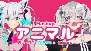 Download Lagu 「Fan MV 」アニマル - Animaru /白上フブキ \u0026  獅白ぼたん (Cover Mashup) MP3