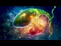 Healing power  revitalize the gallbladder meridian  432 hz  binaural  music