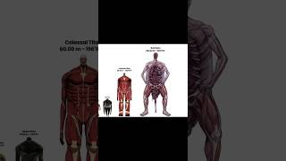 attach on Titan high comparison size #aot #attackontitan #comparison #viralshorts