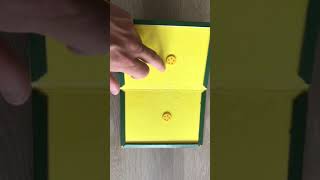 Lijmval voor Muizen, Ratten, Zilvervisjes, Mieren, Insecten en Knaagdieren