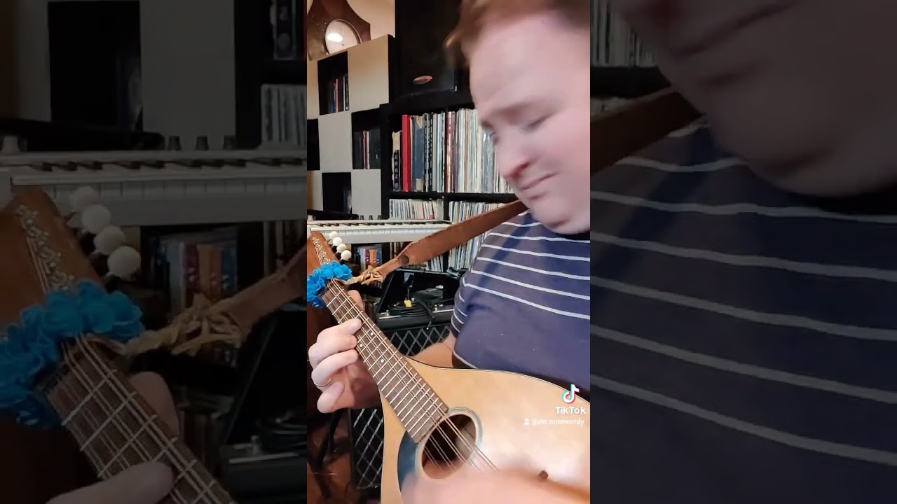 Chop Suey! - System of a Down - Acoustic mandolin instrumental cover by Mr. NoteWordy