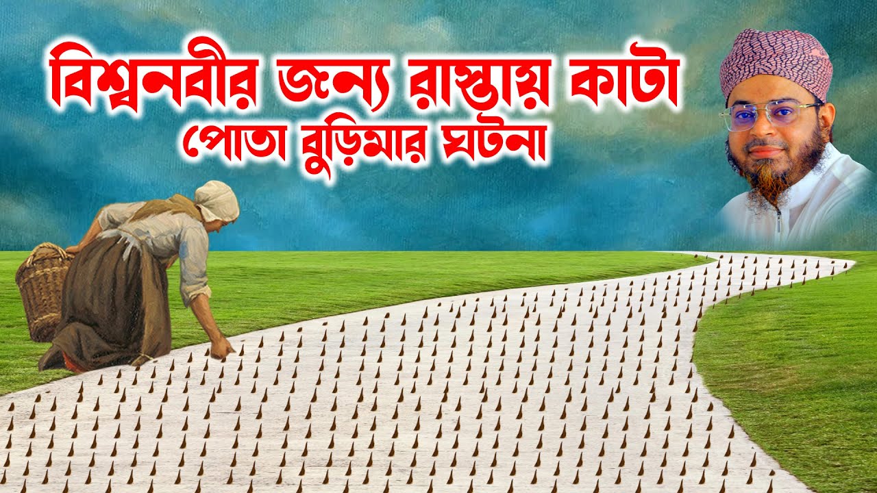 Mufti Nasir Uddin Ansari । মুফতি নাসির উদ্দিন আনসারী । কাটাপোতা বুড়িমার ঘটনা | bd waz