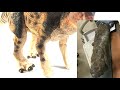 Beginning of video