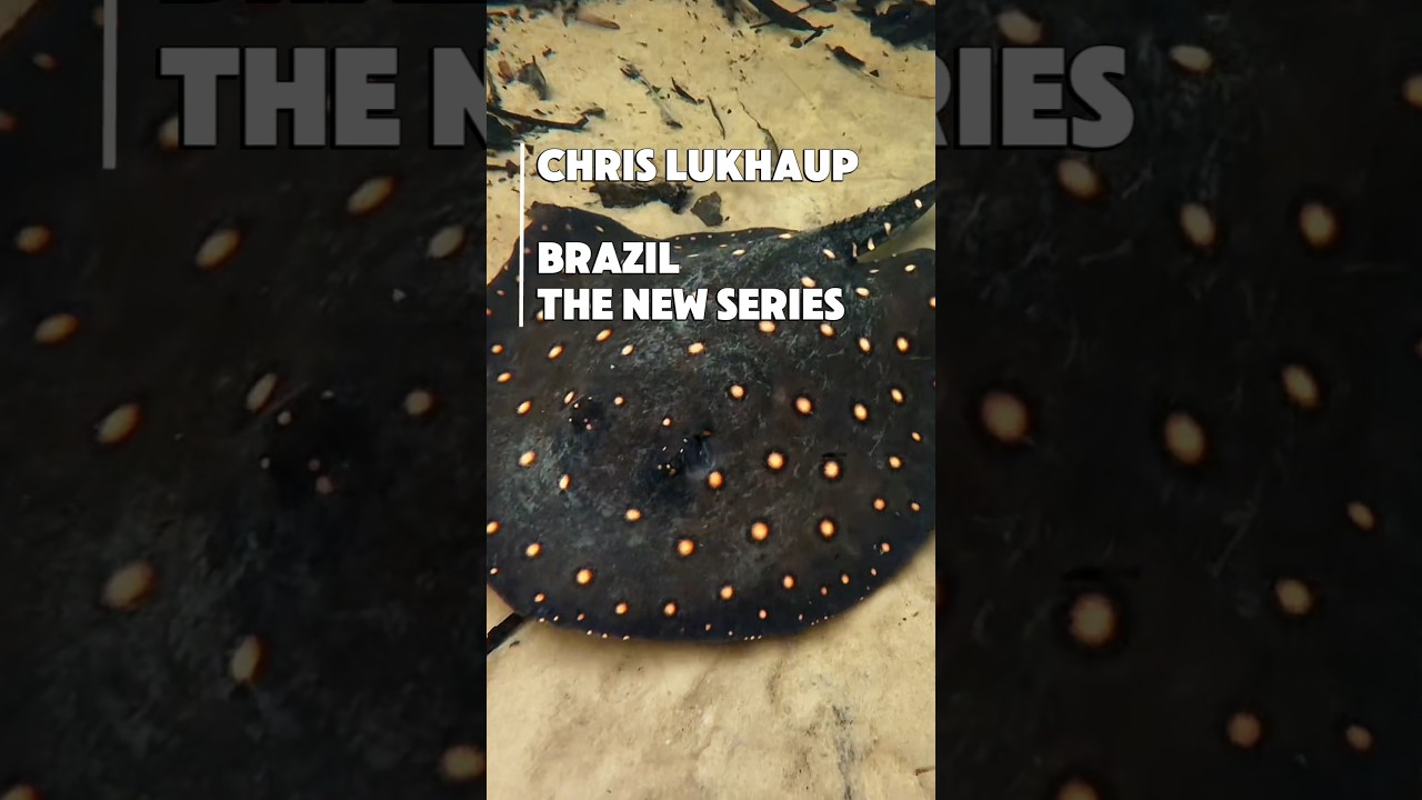 Chris Lukhaup new Brazil Series
