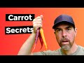 How to grow a ton of carrots in a small space