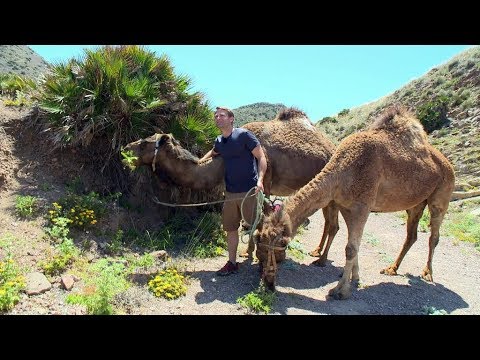 Durch Die Wildnis Staffel 5