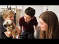 Boys Meet New Puppy For The First Time!