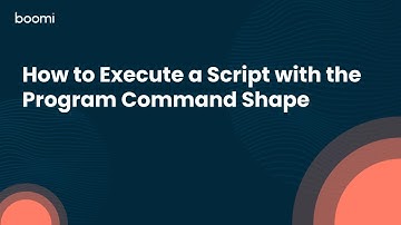 How to Execute a Script with the Program Command Shape