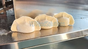 Imitated Handmade Ravioli Spring Roll Samosa Empanada Willow Leaf Dumpling Wonton Dumpling Machine