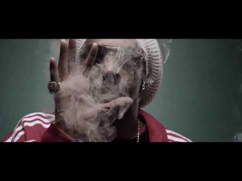 Snoop Lion   Smoke The Weed ft  Collie Buddz Music Video with Lyrics( Official Music Video HD)