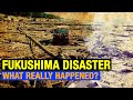 10 years of Fukushima disaster: What really happened? | WON