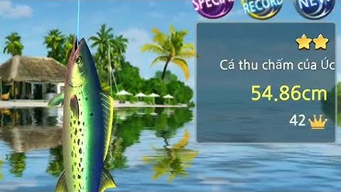 Trải nghiệm GAME " lưỡi câu " : GAME câu cá thú vị đáng chơi nhất