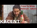 Kacent - Przez Te Wina, Nalewki, Jabole (Akcent - Przez Twe Oczy Zielone/PARODIA)