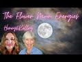 The flower moon and current energies with kelley and honey