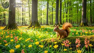 HEALING MUSIC FOR INNER PEACE 🌿 Calm Nature Sounds for Stress Relief, Deep Sleep, Relaxing Music