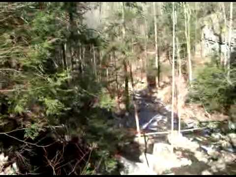 Sitton's Gulch Trail Bridge Over Daniel Creek - Cl...