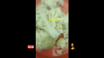 قرنبيط اكلة اقتصادية بدون بيض اابيض غالى عملناه من غير بيض 