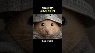 고점의 햄스터