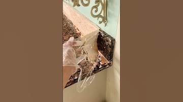 Effortless Paint Removal  #paintremoval