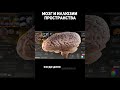 Мозг и иллюзии пространства #Мозг #Иллюзии #Пространство #Восприятие #ОптическиеИллюзии #Нейронаука
