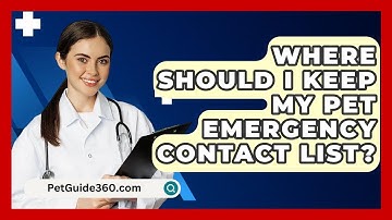 Where Should I Keep My Pet Emergency Contact List? - PetGuide360.com