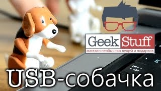 Похотливая USB-собачка купить Киев, Украина Собака-ебака www.geek-stuff.com.ua