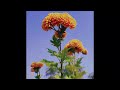 Sad Piano Type Beat - "Last Breath" | FREE