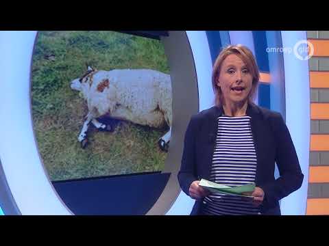GLD Nieuws 22 oktober 2018 - Maandag 22 oktober